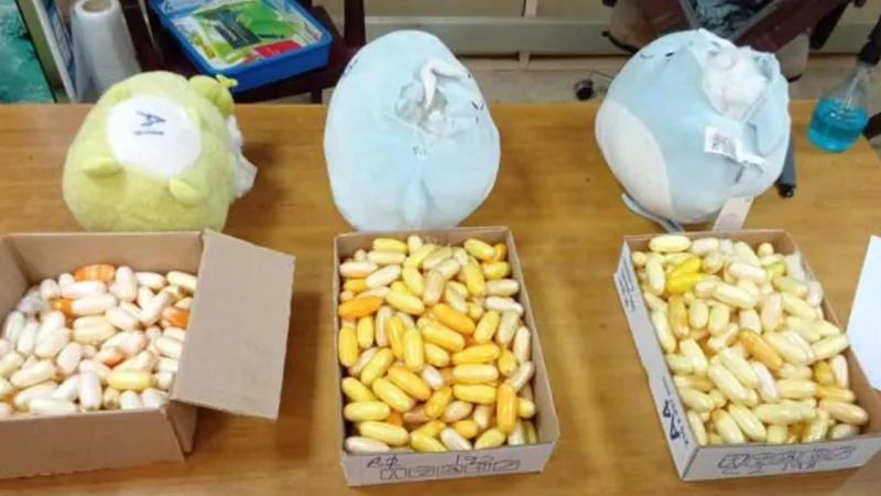 Peluş oyuncaklardan 10 kilo kokain çıktı